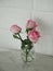 Pink rose romance beautiful Flower symbol Love in clear glass on marble table