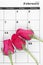 Pink rose on valentine calendar