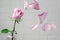 Pink rose in a vase with falling petals against the background of a white wall. Tenderness, fragility, loneliness, romance concept