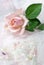 Pink rose on wedding lace (copy space)