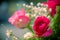 Pink roses in a beautifully landscaped garden on a green background