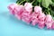 Pink roses on a blue background March 8 concept - International Women`s Day, Happy Mother`s Day, Easter