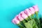 Pink roses on a blue background March 8 concept - International Women`s Day, Happy Mother`s Day, Easter