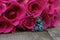 Pink Roses and Blue Butterfly Jewelry, Shallow DOF