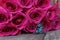 Pink Roses and Blue Butterfly Jewelry, Shallow DOF