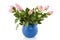 Pink roses in blue vase