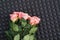 Pink roses bouquet on gray acoustic foam background