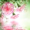 Pink roses and butterfly, floral background