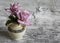 Pink roses in a ceramic vase with Greek ornament