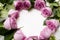 Pink roses circle wreath white background romance