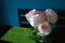 Pink roses on a dining table