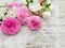 Pink roses and English dogwood on the white board