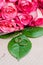 Pink roses flowers and wedding rings on green leaf, craft background