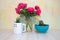 Pink roses in a glass vase, succulent in a white glass cactus in a blue ceramic bowl