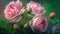 Pink roses in a green garden Generate AI