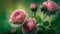 Pink roses in a green garden Generate AI