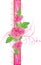 Pink roses with ornament on the decorative ribbon