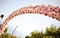 Pink roses and peonies wedding arch