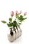 Pink roses in silver vases