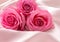 Pink roses on soft silk background