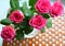 Pink roses wood background