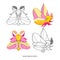 Pink rosy maple moth color and black outline vector isolated on white background. Cute insect butterfly halloween illustration