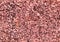 Pink rough textured background wallpaper design