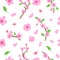Pink sakura blossom flowers, petals and branches seamless pattern. Japanese spring cherry blooming print. Romantic
