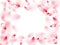 Pink sakura flower flying petals isolated on white vector background