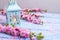 Pink sakura flowers and decorative lantern with candle on blue