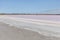 Pink Salt Lake Becking Landscape