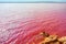 Pink salt lake La Salinas de La Mata of Torrevieja