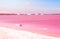 Pink Salt lake. Spain, Torrevieja
