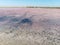 pink salt lake surface, dried pink salt lake