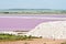 Pink salt marsh