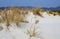 Pink sand dune in Sardinia island along the shore