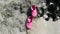 Pink sandals float in the clear water on the sandy beach.