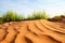 Pink sands in Arizona