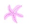 Pink Sea Star to design and decor