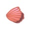 Pink seashell, underwater creature vector Illustration