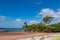 pink seaweed on Waipu beach, New Zealand