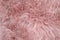 Pink sheepskin rug background sheep fur Wool texture