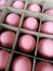 Pink shells preserved egg carm into the tabled paper case