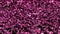 Pink Shiny glitter seamless loop abstract texture close up macro background