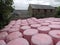 Pink Silage Bales