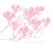 Pink silhouette magnolia flowers blossom