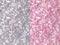 Pink and Silver Iridescent Confetti Background.