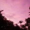 Pink skies in paradise