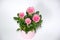 Pink Small Bush of Roses in a Pot Decoration Stock Photo