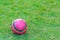 Pink soccer ball on grass field.